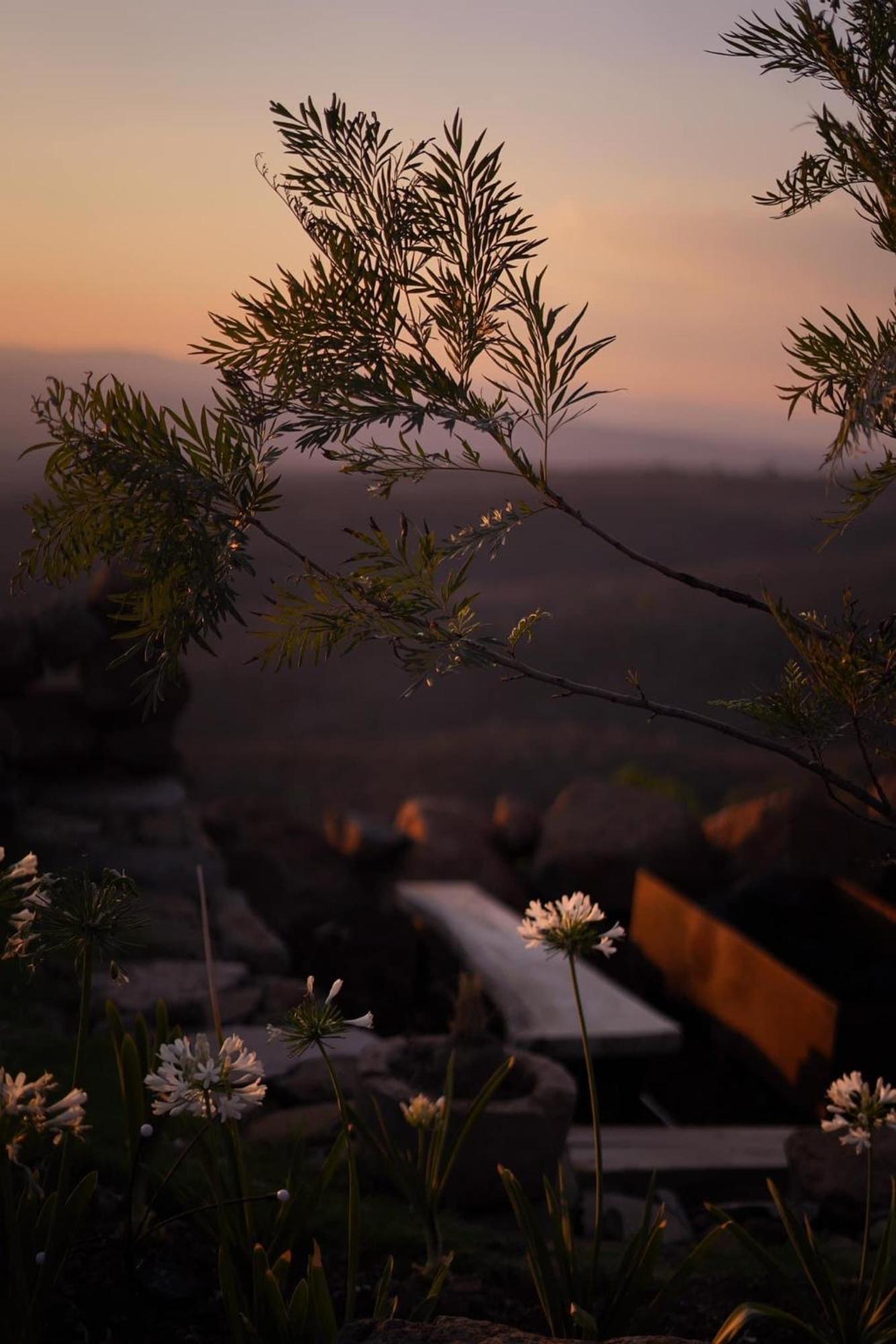 Finca La Cumbre เตปาติตลัน เด โมเรลอส ภายนอก รูปภาพ